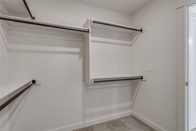 spacious closet with carpet