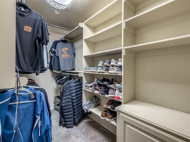 walk in closet with carpet flooring