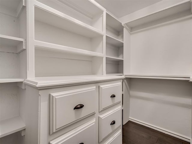 walk in closet featuring dark wood-style floors