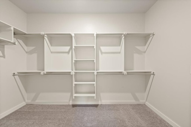 812 Stella Trl, Guthrie, OK 73044 - spacious closet with carpet floors