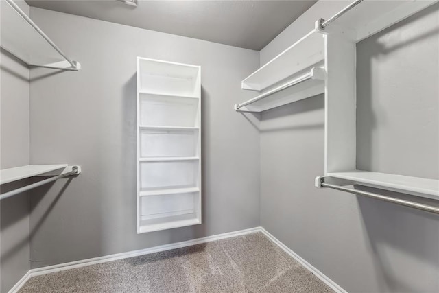 walk in closet featuring carpet floors