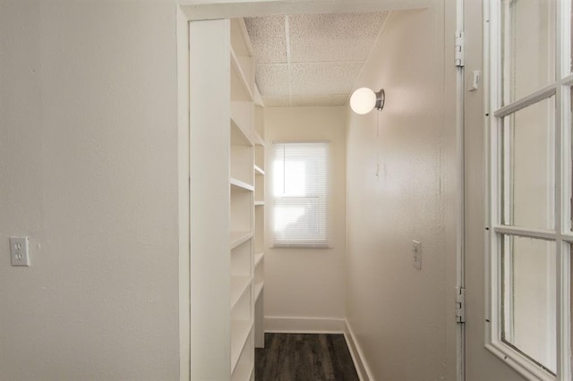 spacious closet featuring dark wood-style floors and a paneled ceiling