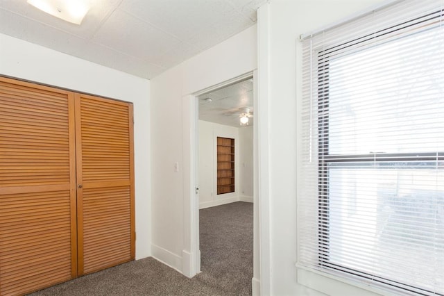 hall with carpet floors, baseboards, a drop ceiling, and a wealth of natural light