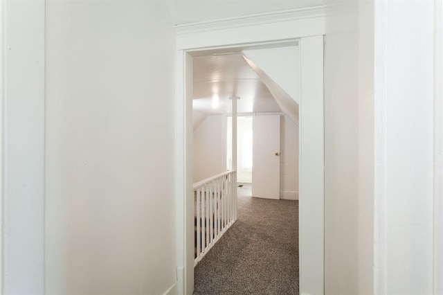 hallway featuring carpet and vaulted ceiling