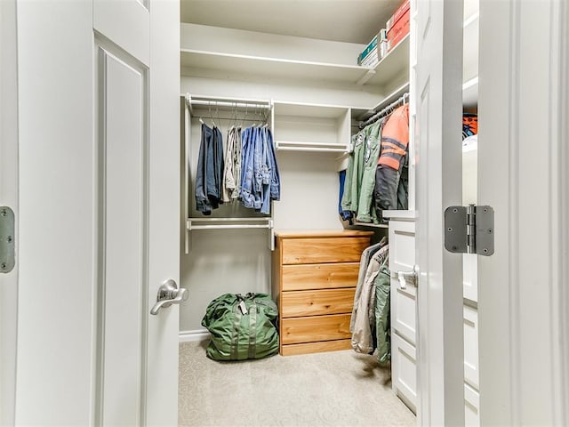 walk in closet with carpet floors