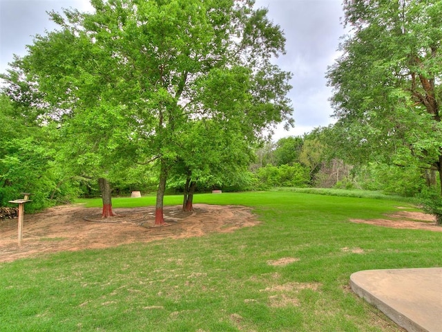 view of yard
