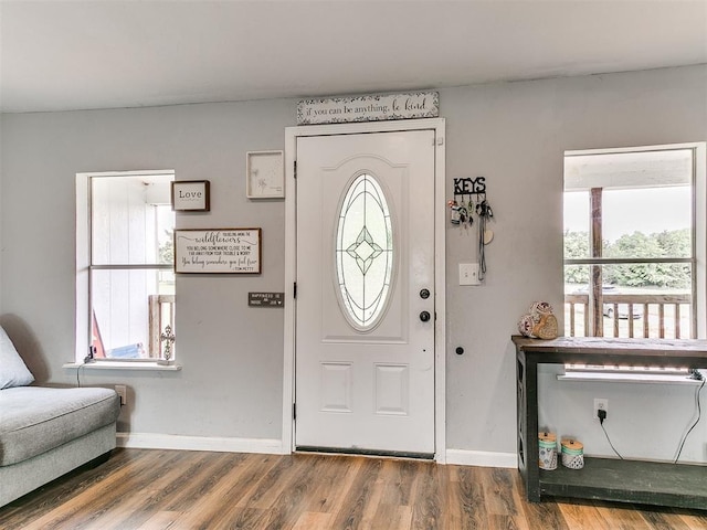 entrance foyer with baseboards and wood finished floors