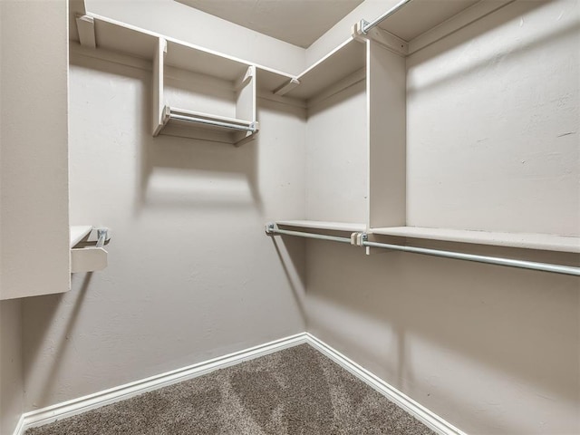 spacious closet with carpet