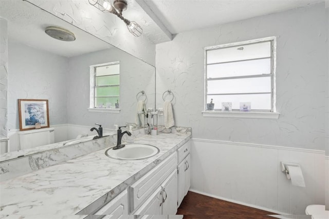 bathroom with wainscoting, wood finished floors, and vanity