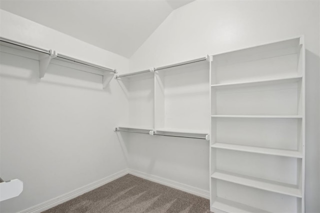 walk in closet with carpet and lofted ceiling
