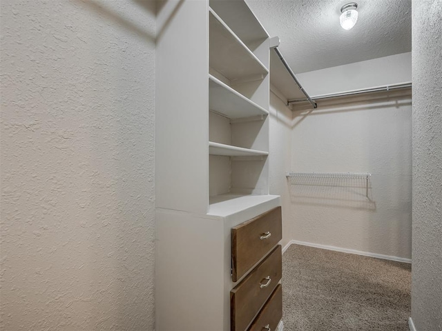 spacious closet with carpet flooring
