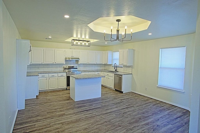 kitchen with dark wood finished floors, a sink, a raised ceiling, a chandelier, and stainless steel appliances