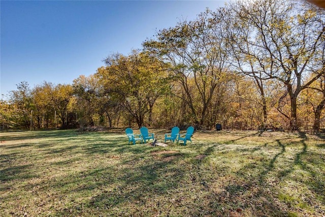 20318 State Highway 39, Purcell, OK 73080 - view of yard