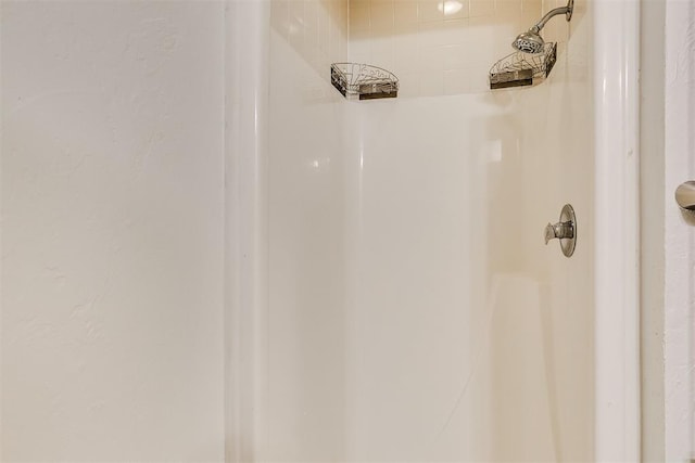 10601 Songbird Ln, Oklahoma City, OK 73130 - details with walk in shower