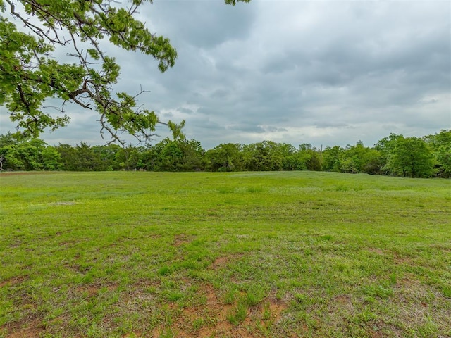view of yard with a rural view and a wooded view