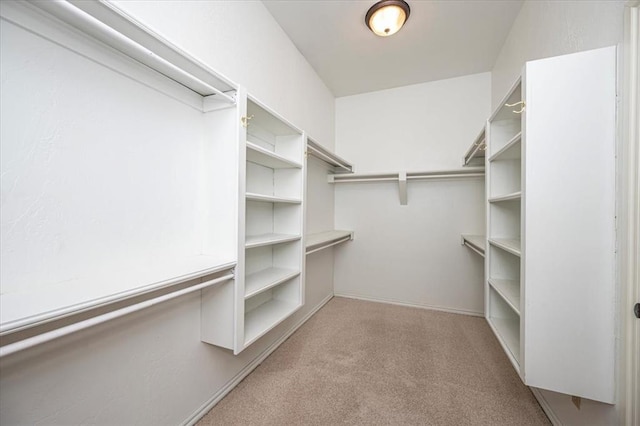 spacious closet with carpet