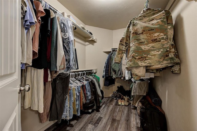 walk in closet featuring wood finished floors