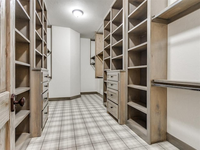 view of walk in closet