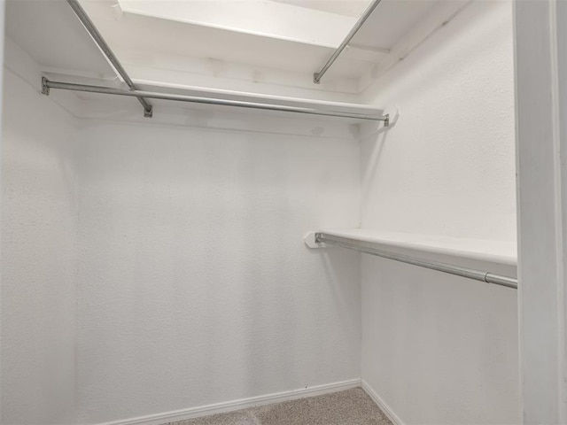 walk in closet featuring carpet