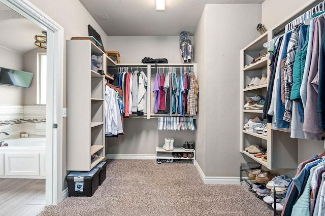 walk in closet featuring carpet floors
