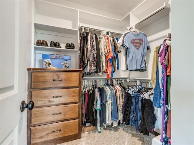 view of walk in closet