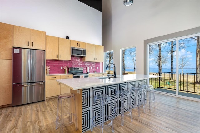 kitchen featuring a sink, appliances with stainless steel finishes, light wood finished floors, and light countertops