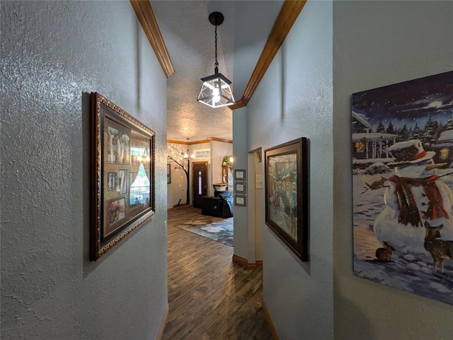 900 Walnut Pl, Norman, OK 73072 - corridor featuring a textured wall, wood finished floors, and crown molding