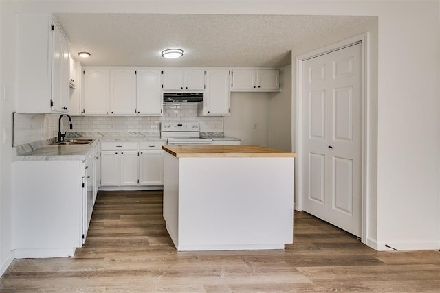 kitchen with a sink, white range with electric cooktop, extractor fan, and tasteful backsplash