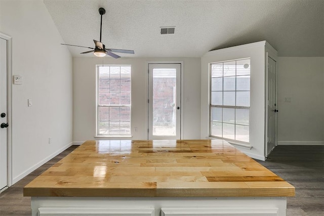 interior space featuring visible vents, a ceiling fan, dark wood-style floors, and a healthy amount of sunlight