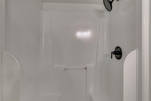 details featuring walk in shower