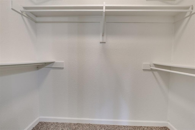 spacious closet featuring carpet floors