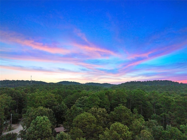 property view of mountains with a view of trees