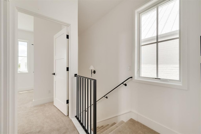 stairway featuring baseboards and carpet flooring