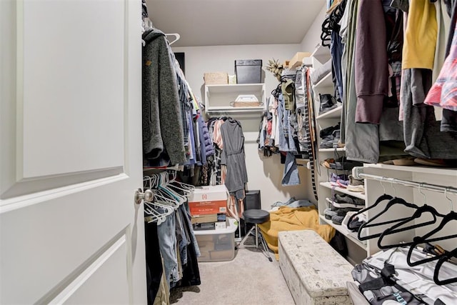 spacious closet featuring carpet