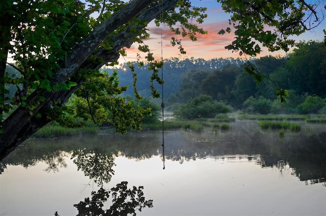 370 Stones River Ln, Broken Bow, OK 74728 - water view featuring a heavily wooded area