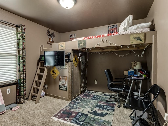 bedroom with carpet flooring