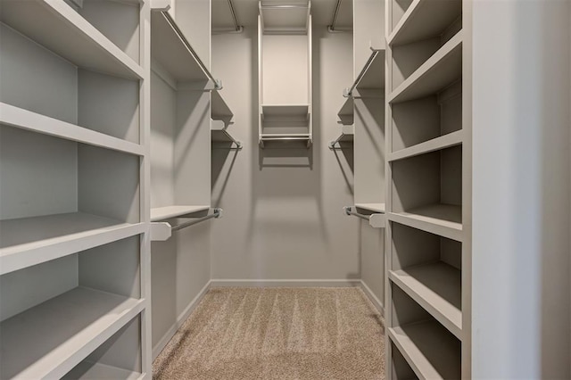 walk in closet featuring light colored carpet