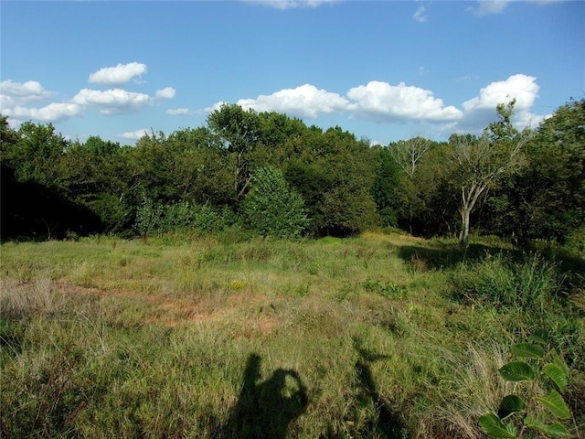 view of local wilderness featuring a view of trees