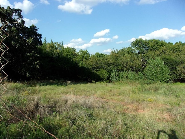 view of nature featuring a wooded view