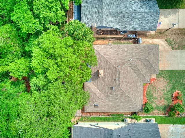 bird's eye view