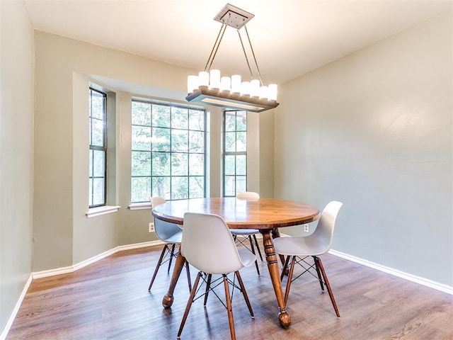 dining room with baseboards and wood finished floors