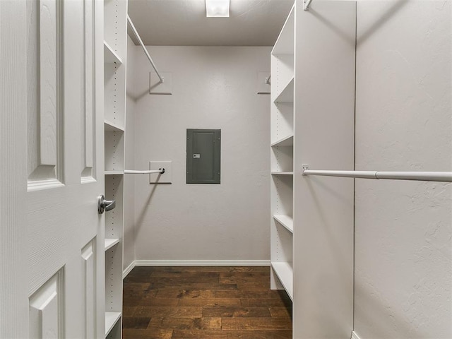 walk in closet with electric panel and dark wood-style floors