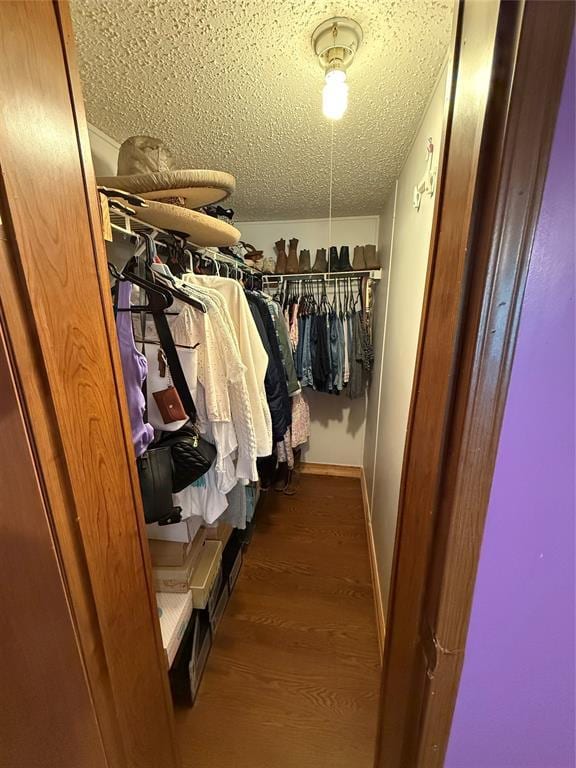 spacious closet with dark wood-style floors