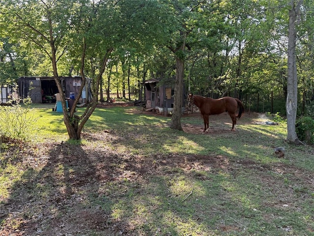 view of yard featuring a storage shed and an outbuilding