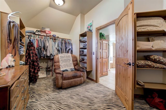 10608 Oaksplinter Ln, Oklahoma City, OK 73173 - spacious closet with light carpet and vaulted ceiling