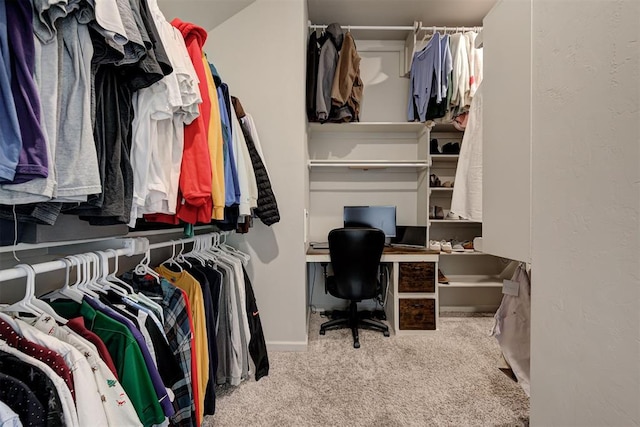 walk in closet with carpet flooring