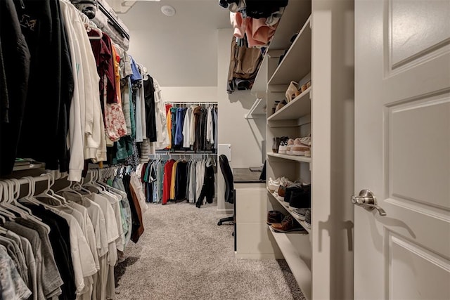 spacious closet featuring carpet floors
