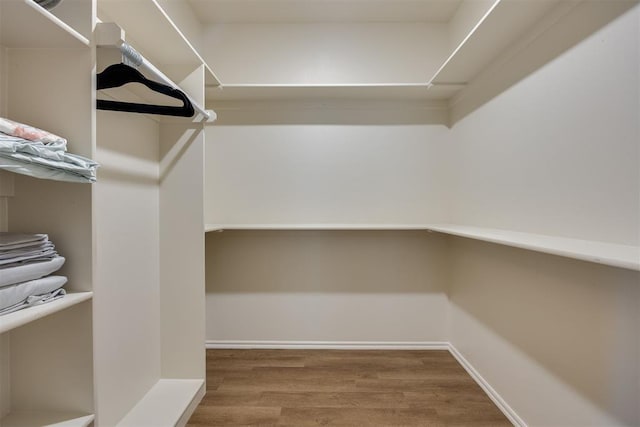 spacious closet featuring wood finished floors