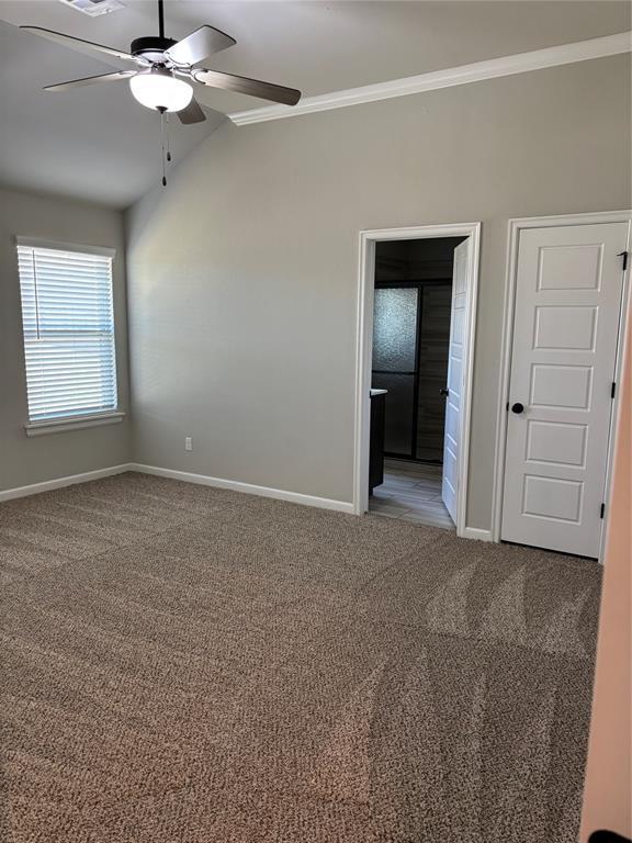 spare room with carpet flooring, ceiling fan, baseboards, lofted ceiling, and ornamental molding