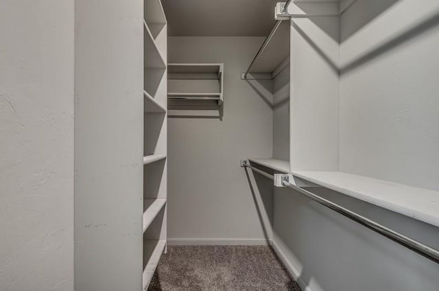 spacious closet with carpet